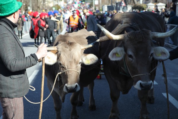 Primo e cinkuantezimo karnevale