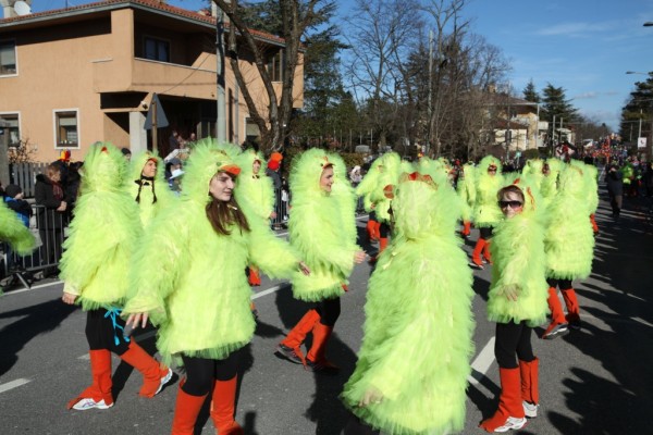 Pulcini di Opatje selo